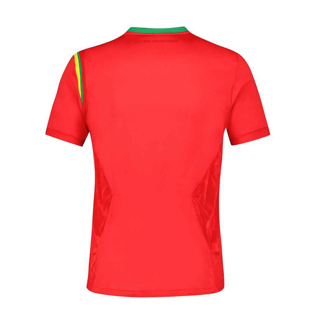 HERREN TRIKOT CAMEROUN MAILLOT REPLICA (2221075-000) HERREN TRIKOT CAMEROUN MAILLOT REPLICA (2221075-000)