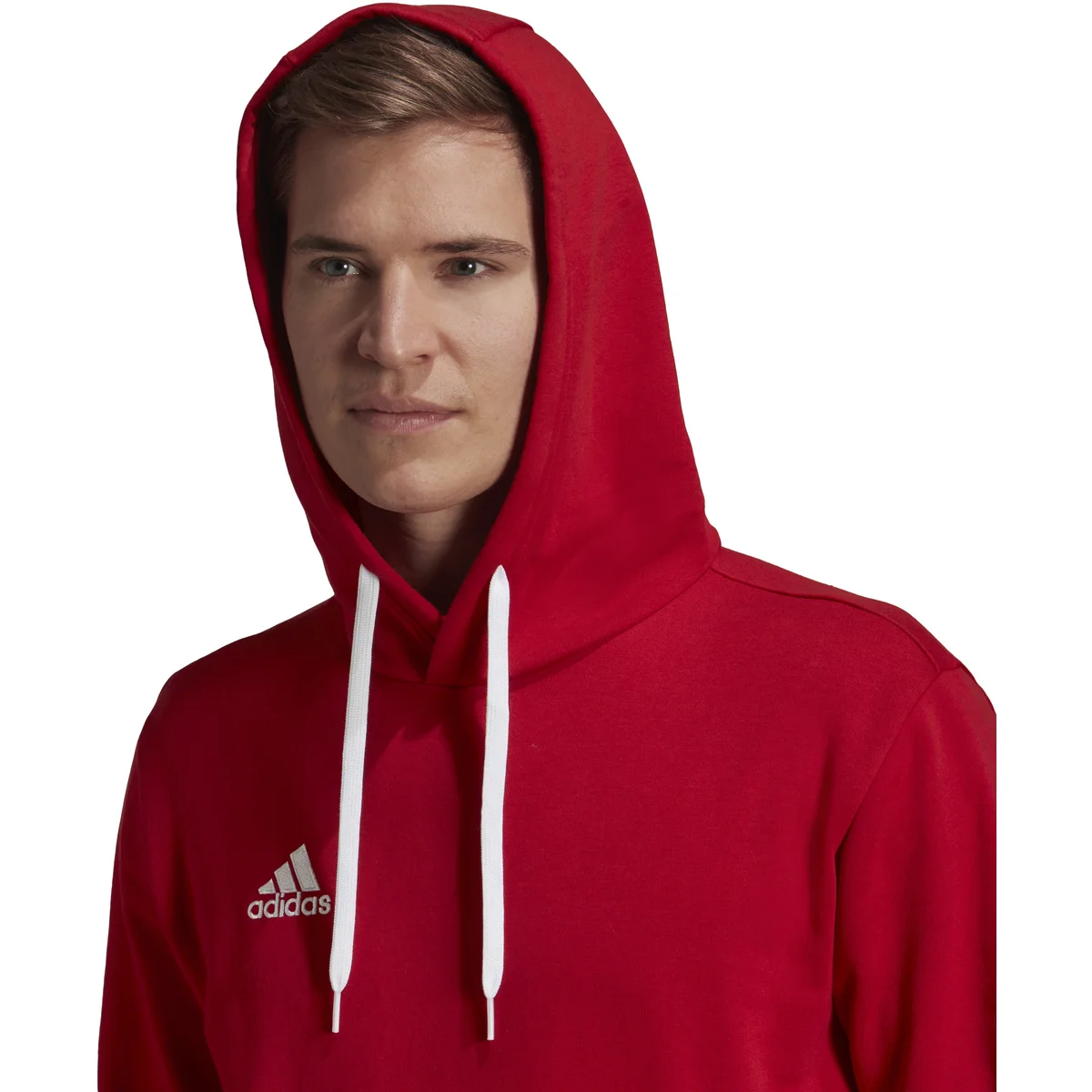 HERREN HOOIDE ENT22 HOODY (H57514)