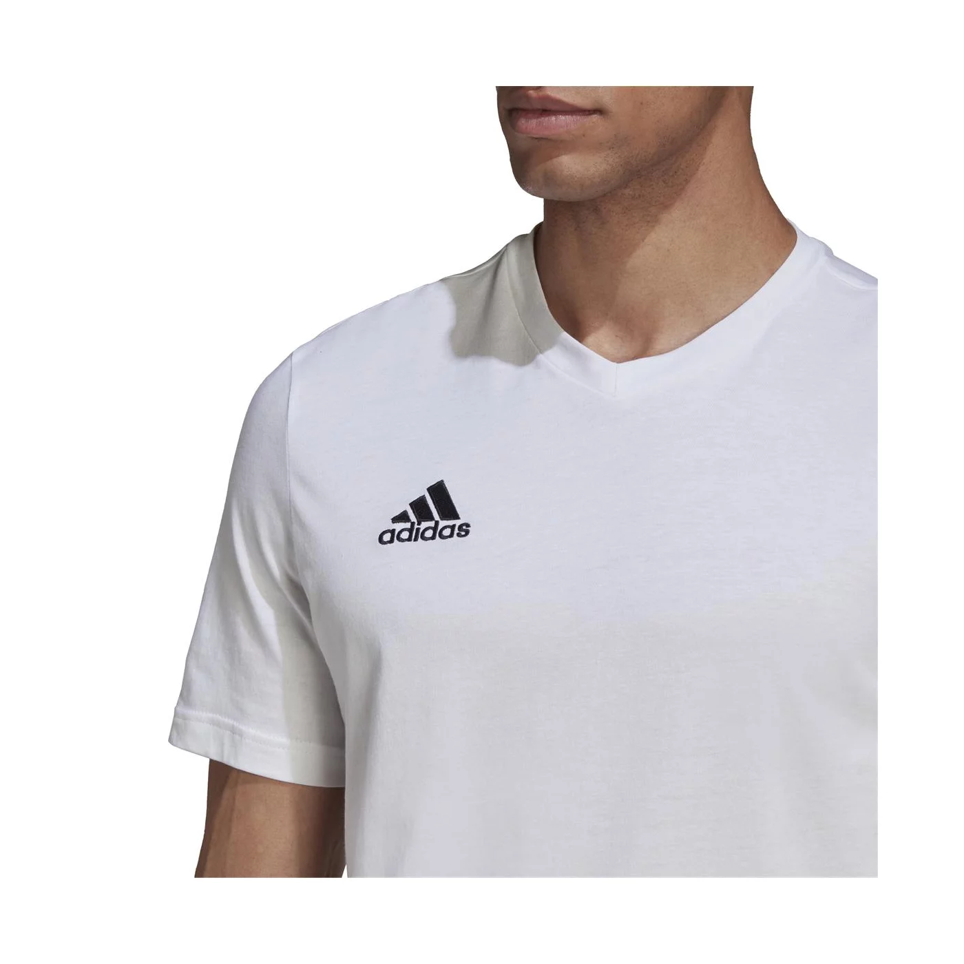 HERREN T-SHIRT ENT22 TEE (HC0452) HERREN T-SHIRT ENT22 TEE (HC0452)