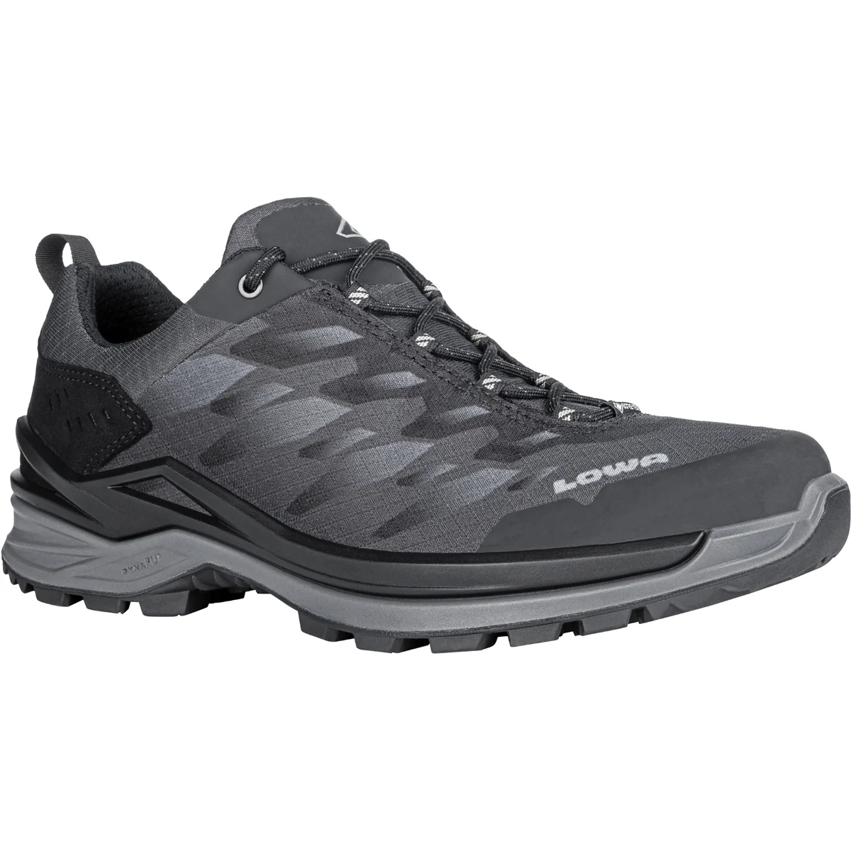 CHAUSSURES MULTIFONCTIONS HOMME FERROX GTX LO (311696-9937) CHAUSSURES MULTIFONCTIONS HOMME FERROX GTX LO (311696-9937)