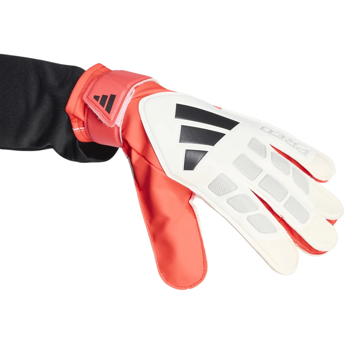 HERREN TORWARTHANDSCHUHE TRAINING PRED GL TRN (JY6311) HERREN TORWARTHANDSCHUHE TRAINING PRED GL TRN (JY6311)