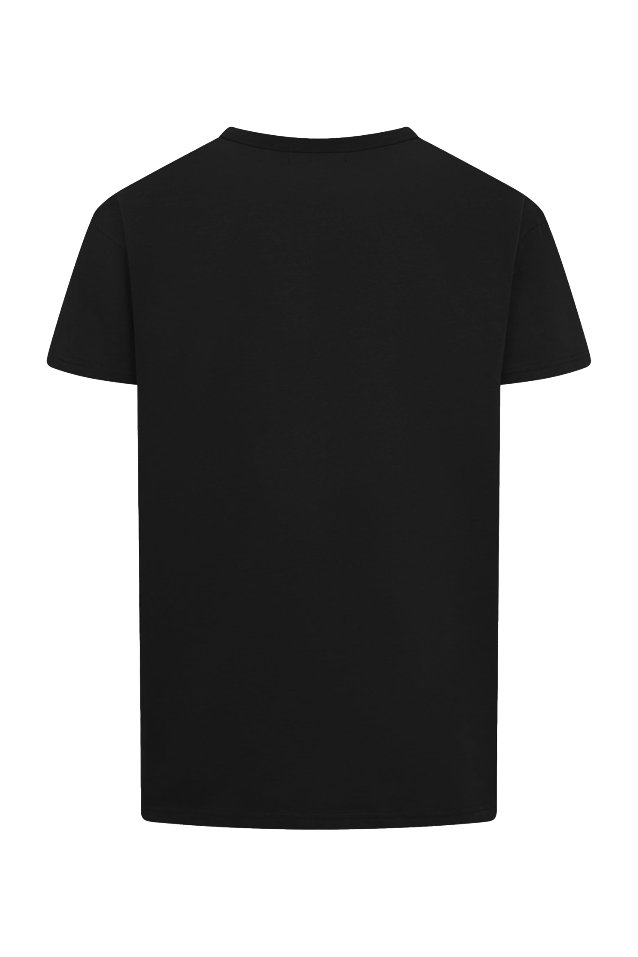 HERREN T-SHIRT STURMMÖWE (M-04-TS-0920-0385)
