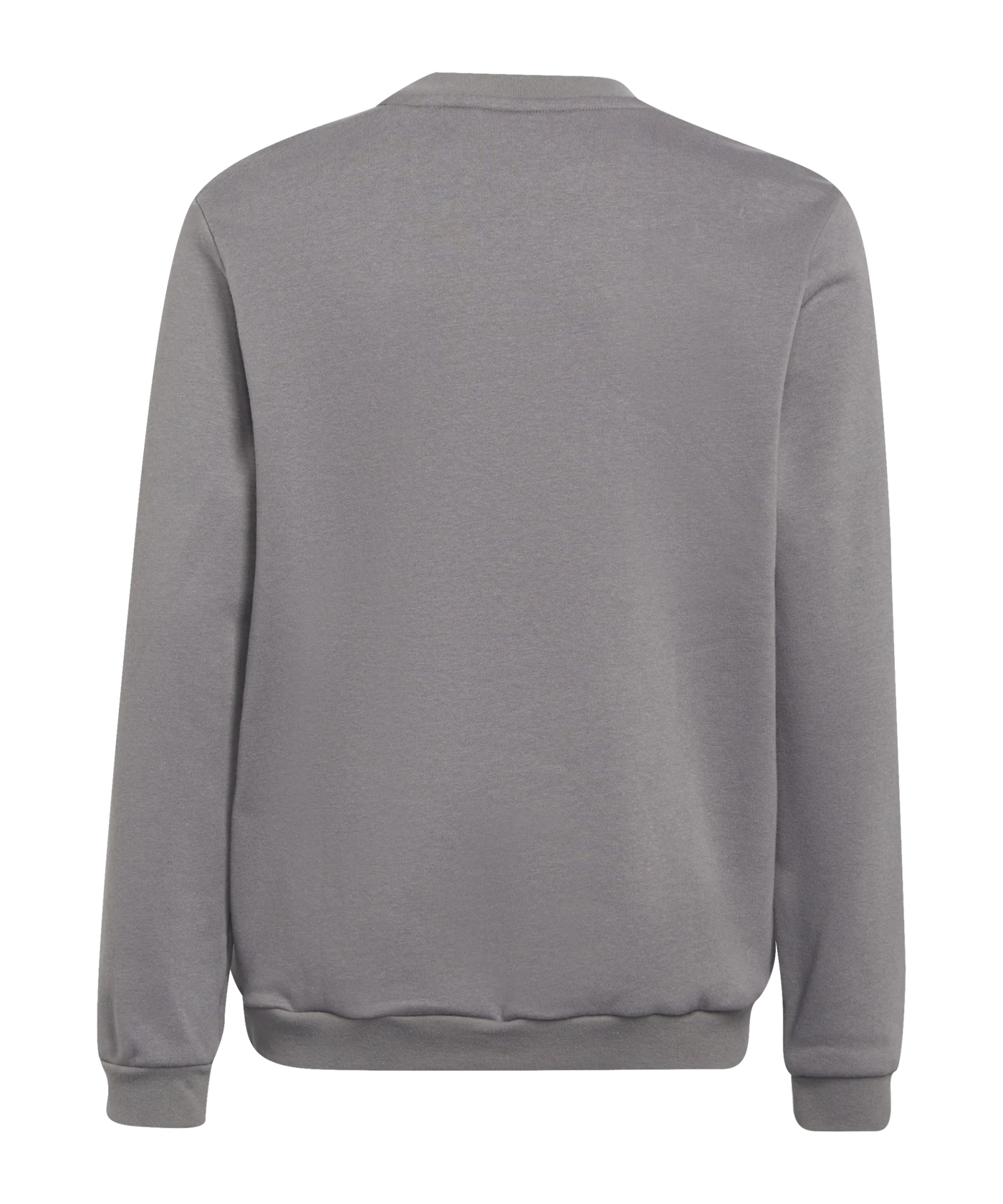 KIDS SWEATSHIRT ENT22 SW TOPY (H57477)