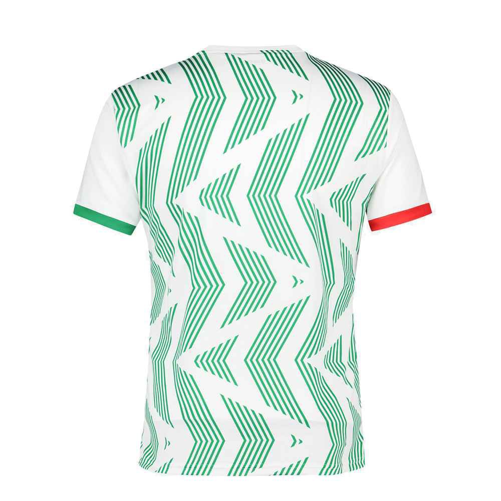 HERREN TRIKOT CAMEROUN MAILLOT PRE MATCH (2221076-000) HERREN TRIKOT CAMEROUN MAILLOT PRE MATCH (2221076-000)