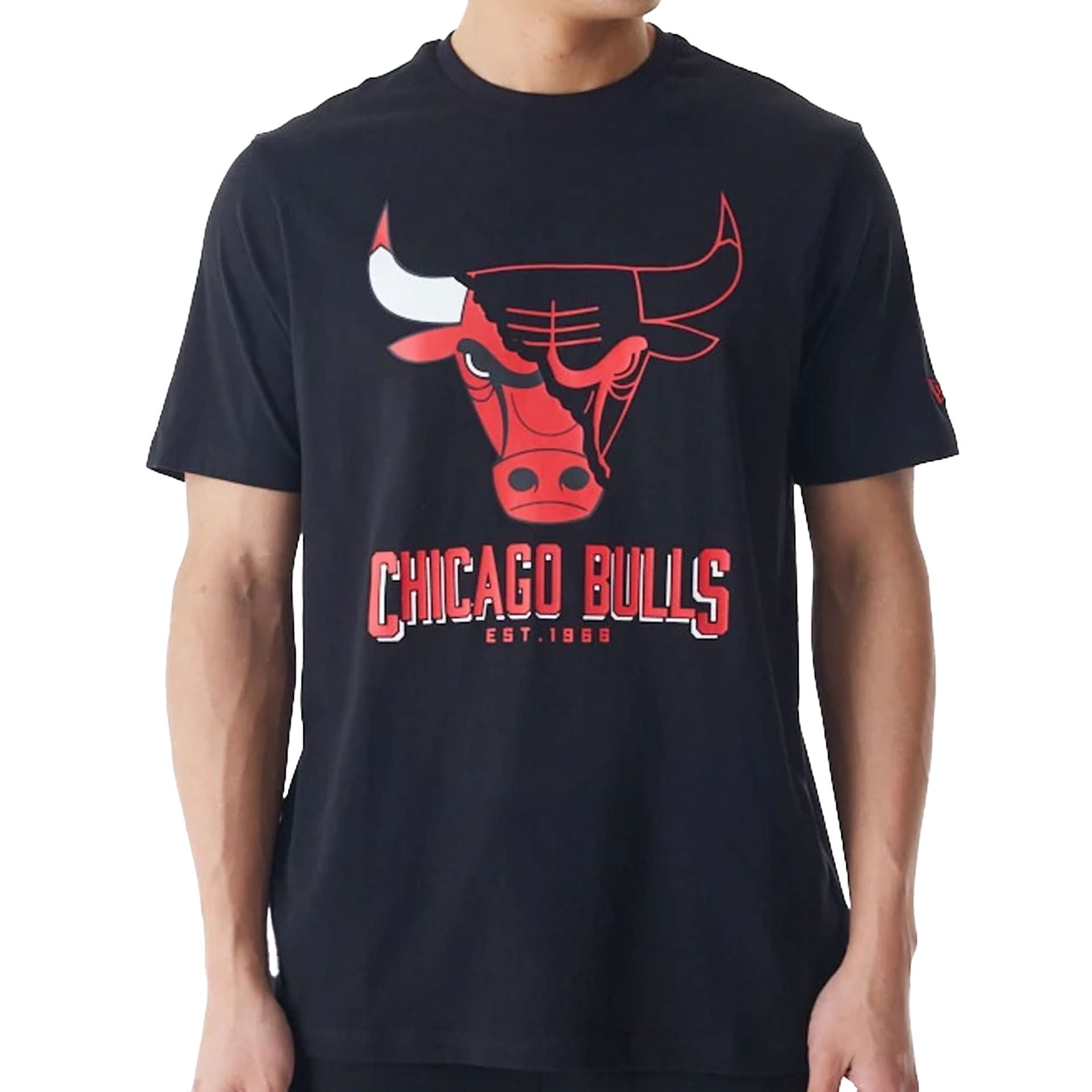 HERREN T-SHIRT NBA LOGO GRAPHIC TEE CHIBUL (60578584) HERREN T-SHIRT NBA LOGO GRAPHIC TEE CHIBUL (60578584)