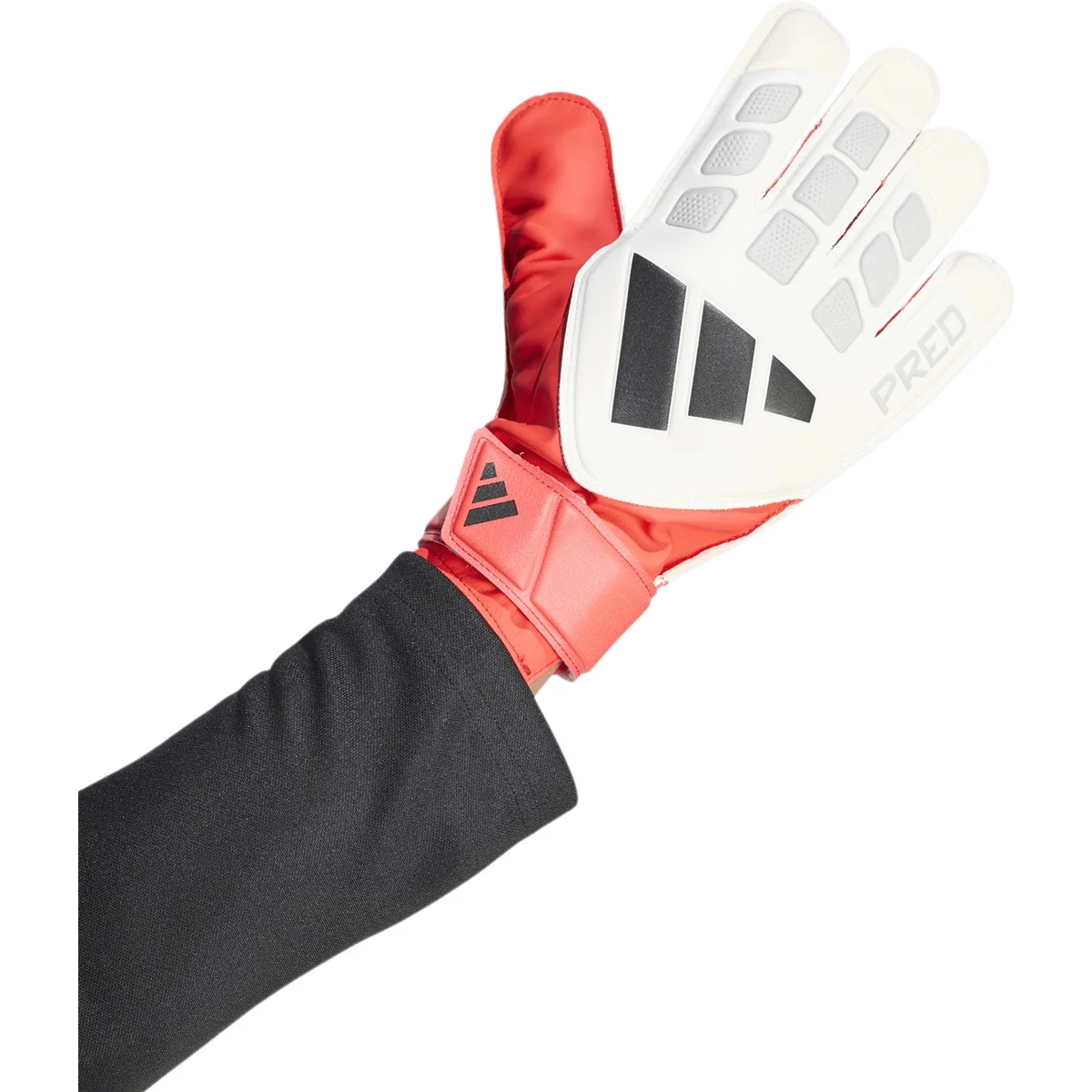 HERREN TORWARTHANDSCHUHE TRAINING PRED GL TRN (JY6311) HERREN TORWARTHANDSCHUHE TRAINING PRED GL TRN (JY6311)