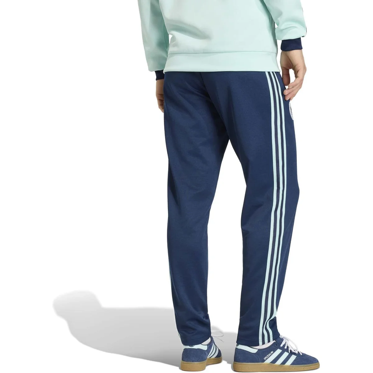 HERREN DFB FAN-JOGGINGHOSE OG TP (JZ9341)