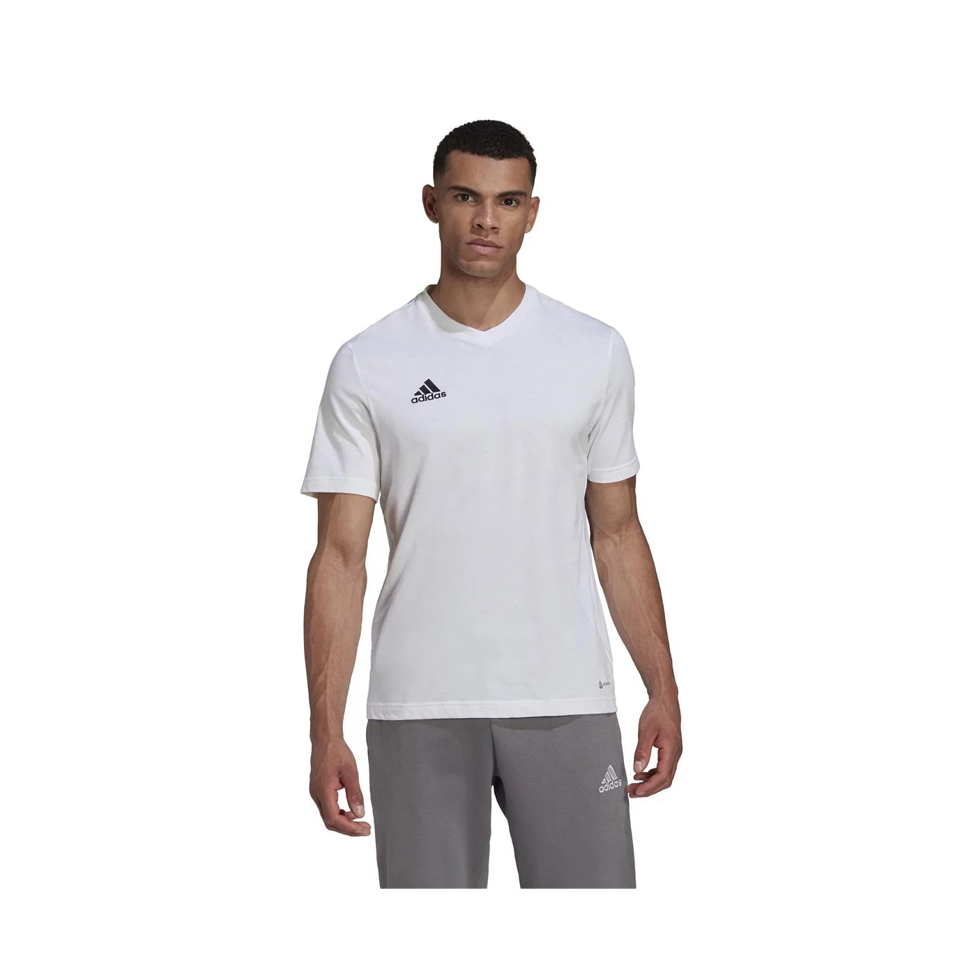 HERREN T-SHIRT ENT22 TEE (HC0452)