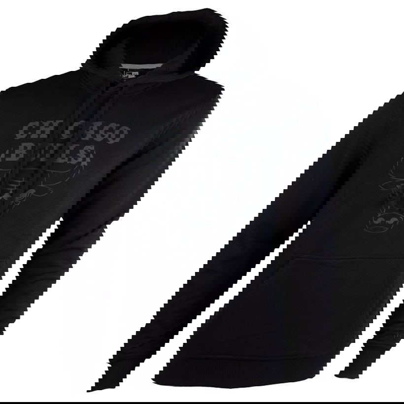 HERREN HOODIE TEAM LOGO PO HOODY CHIBUL (11546180-000)