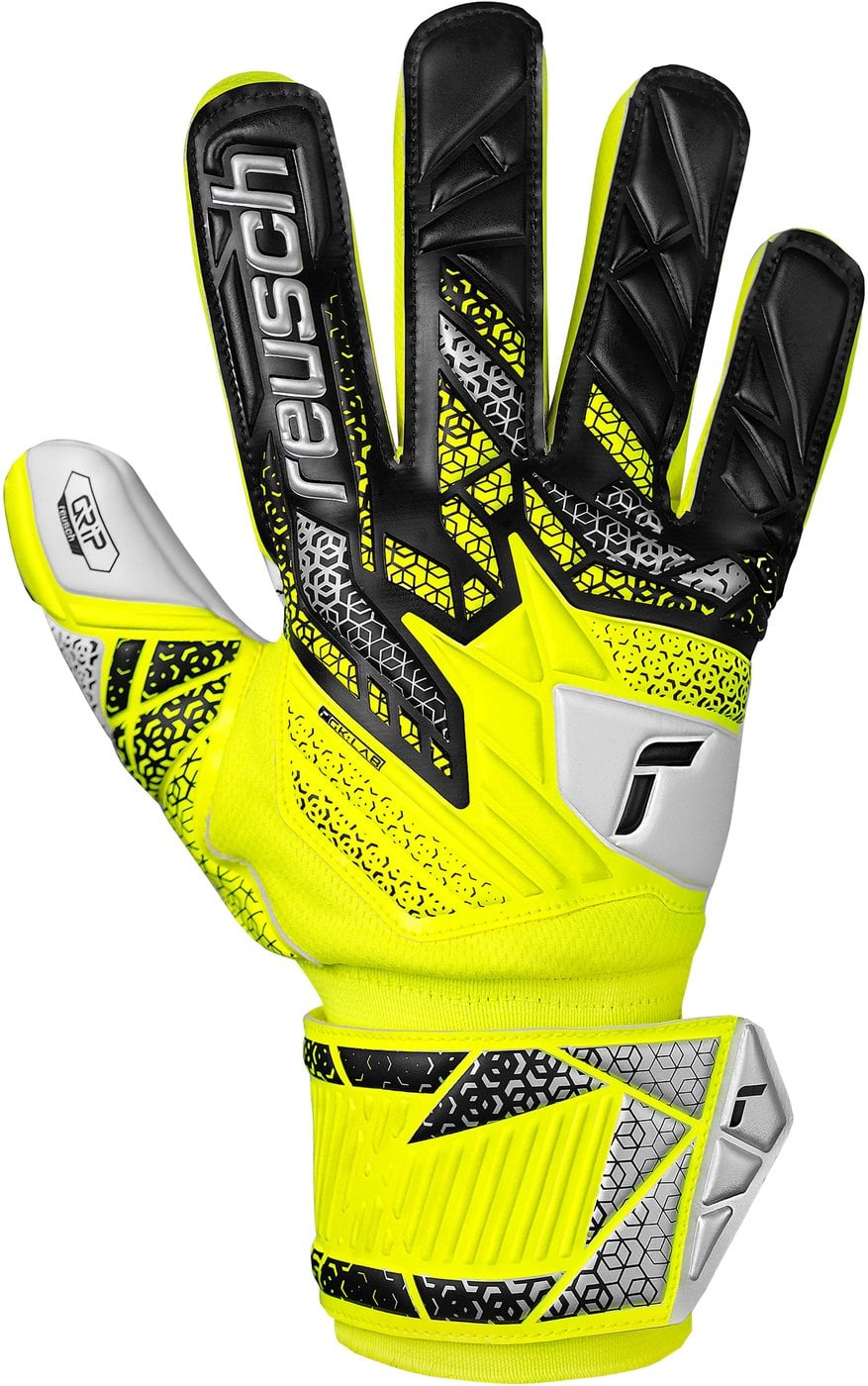 HERREN TORWARTHANDSCHUHE ATTRAKT GRIP (5570815-2014)