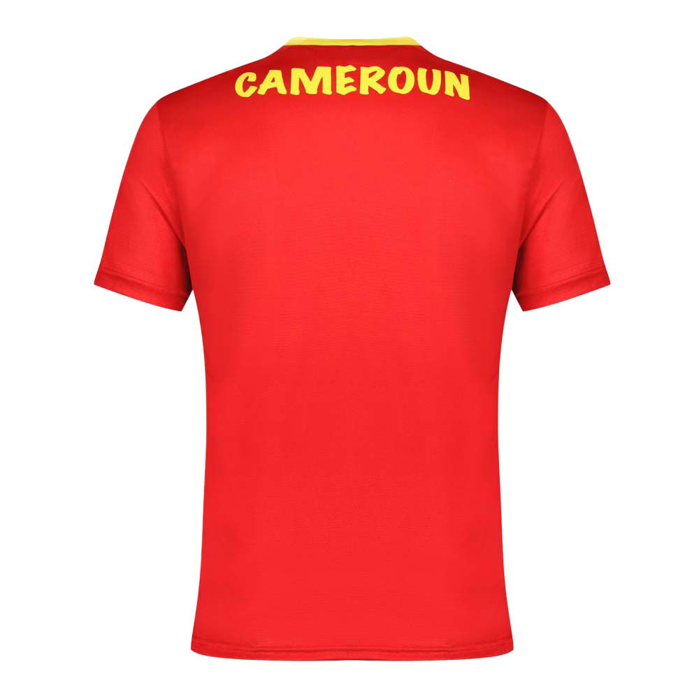HERREN TRIKOT CAMEROUN TRAINING TEE (2210709-000) HERREN TRIKOT CAMEROUN TRAINING TEE (2210709-000)