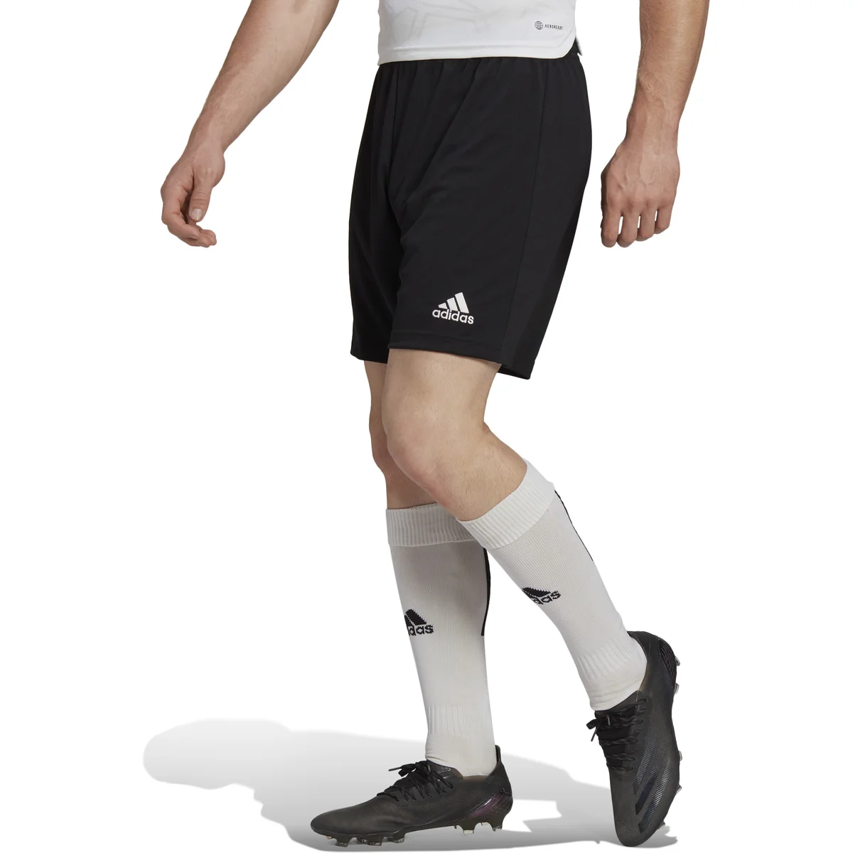 HERREN SHORTS ENT22 SHO (H57504)