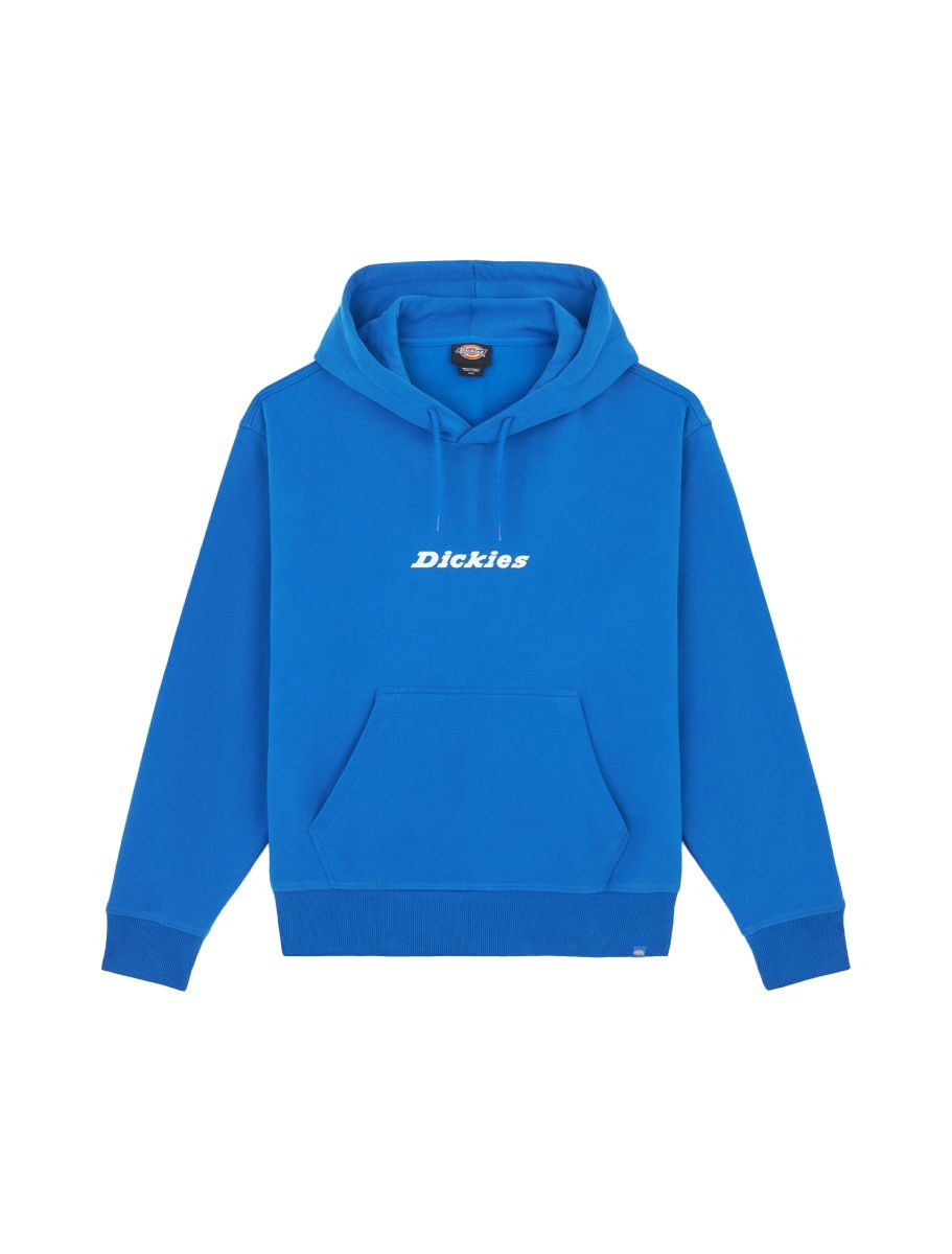 HERREN HOODIE ENTERPRISE HOODIE (DK0A4Z2NJ531)