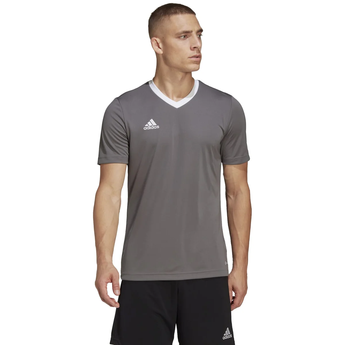 HERREN TRIKOT ENT22 JSY (HE1574)