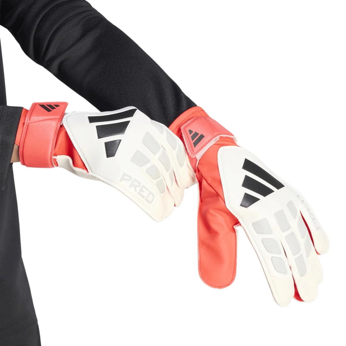 HERREN TORWARTHANDSCHUHE TRAINING PRED GL TRN (JY6311) HERREN TORWARTHANDSCHUHE TRAINING PRED GL TRN (JY6311)