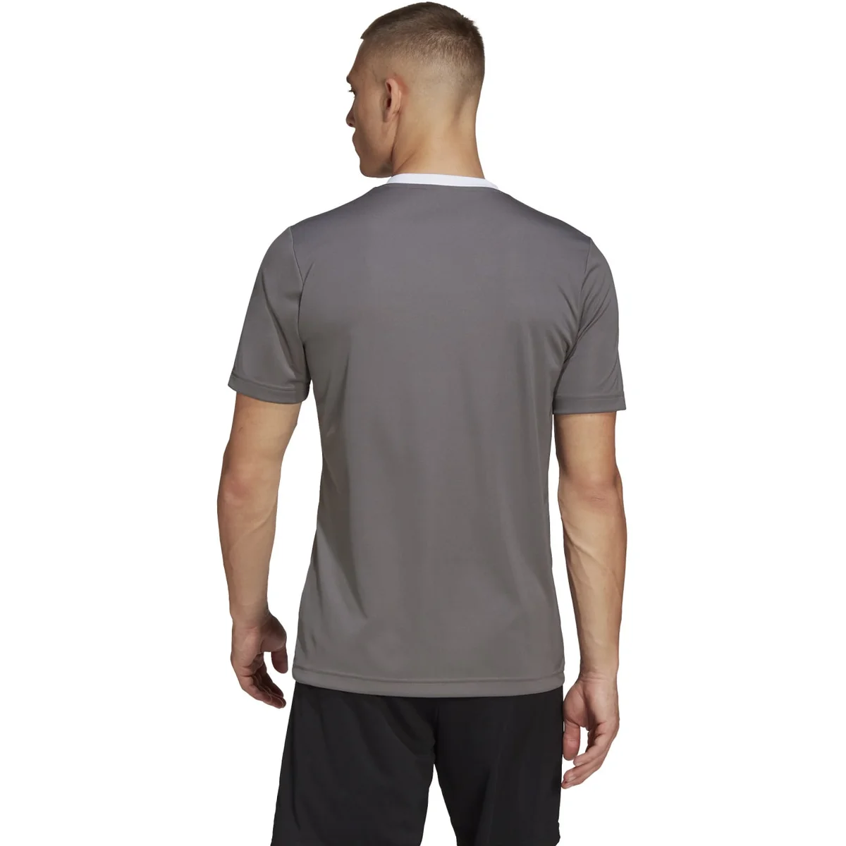 HERREN TRIKOT ENT22 JSY (HE1574)