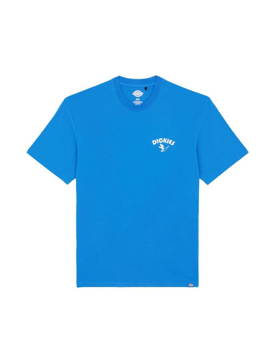HERREN T-SHIRT GOOSE TEE SS (DK0A863GJ531)