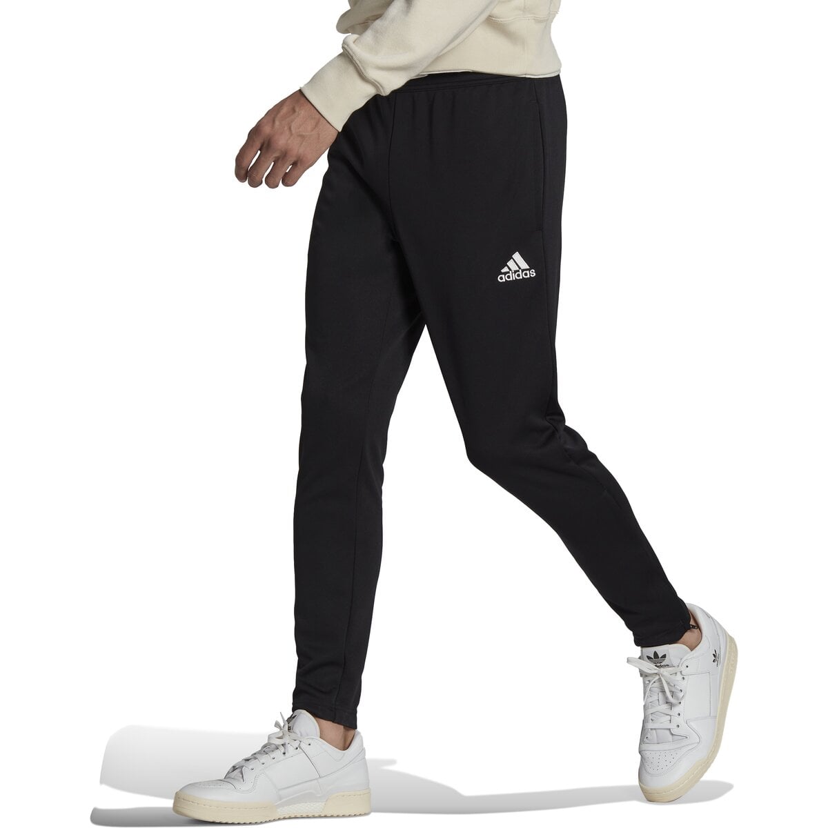 HERREN JOGGINGHOSE ENT22 TR PNT (HC0332) HERREN JOGGINGHOSE ENT22 TR PNT (HC0332)