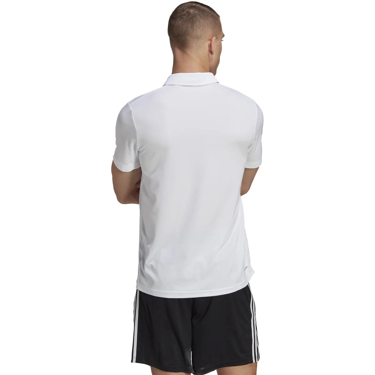 MĘSKA KOSZULKA POLO TR-ES BASE POLO (IB8105) MĘSKA KOSZULKA POLO TR-ES BASE POLO (IB8105)
