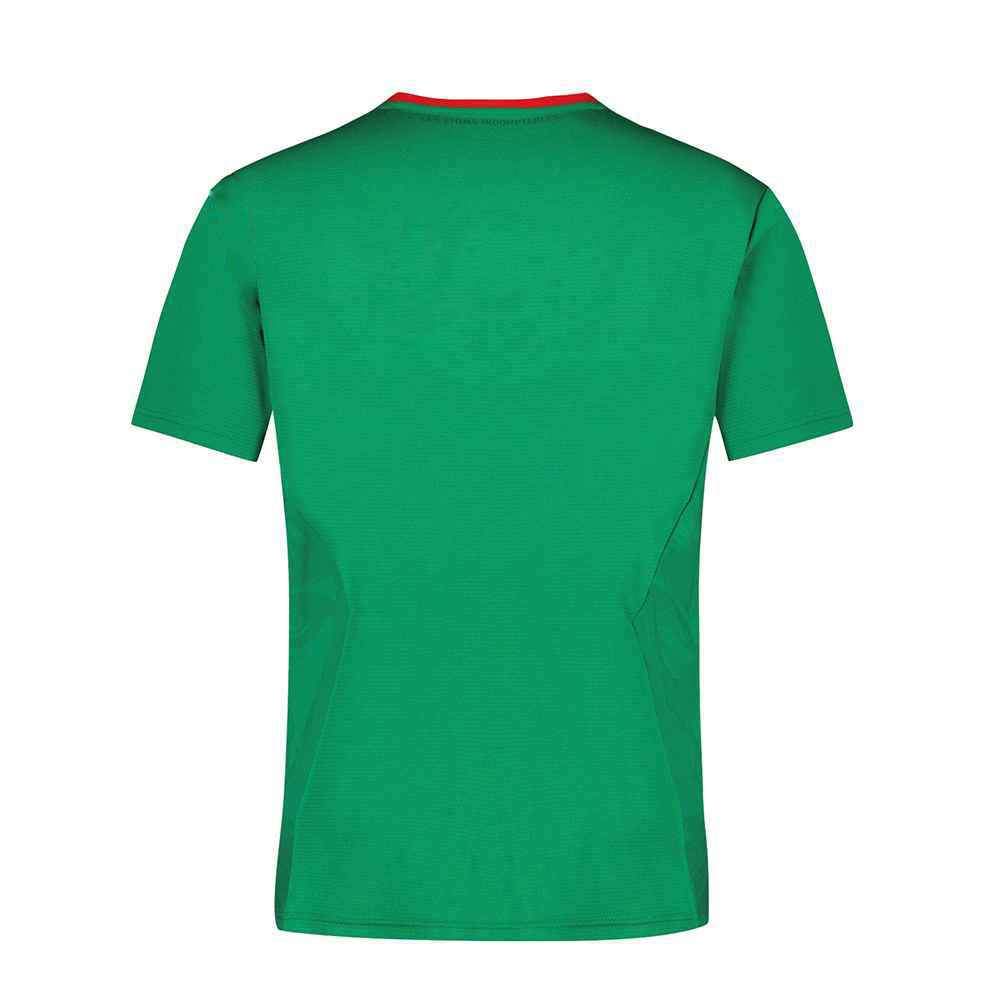 HERREN TRIKOT CAMEROUN PRESENTATION TEE (2221118-000) HERREN TRIKOT CAMEROUN PRESENTATION TEE (2221118-000)