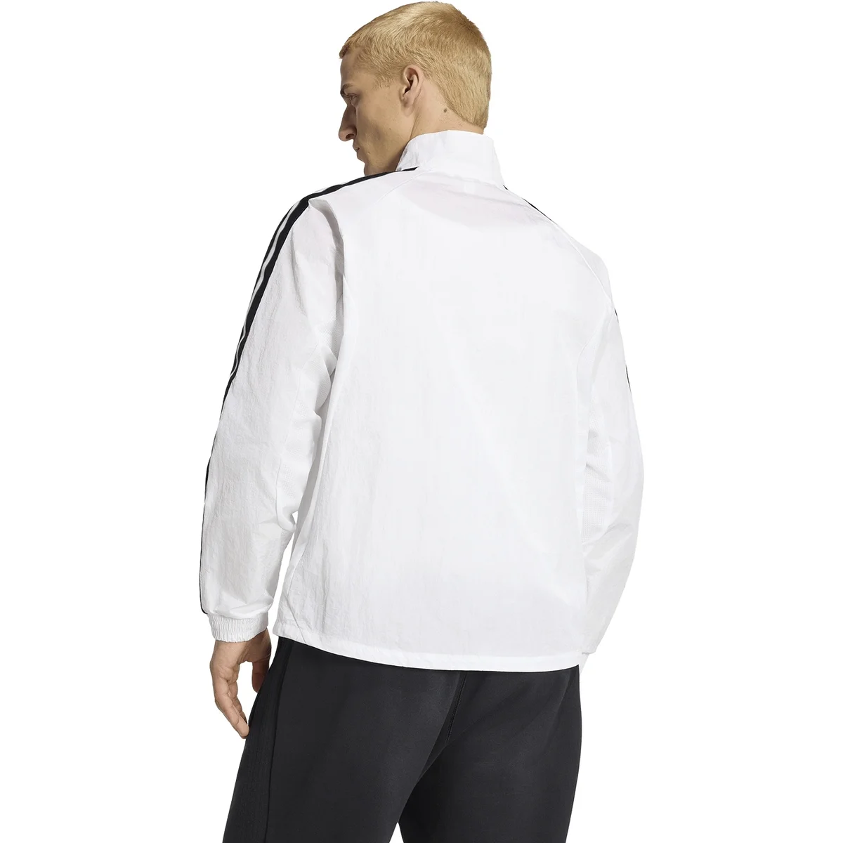 HERREN DFB FANJACKE H AN JK (JZ9339)