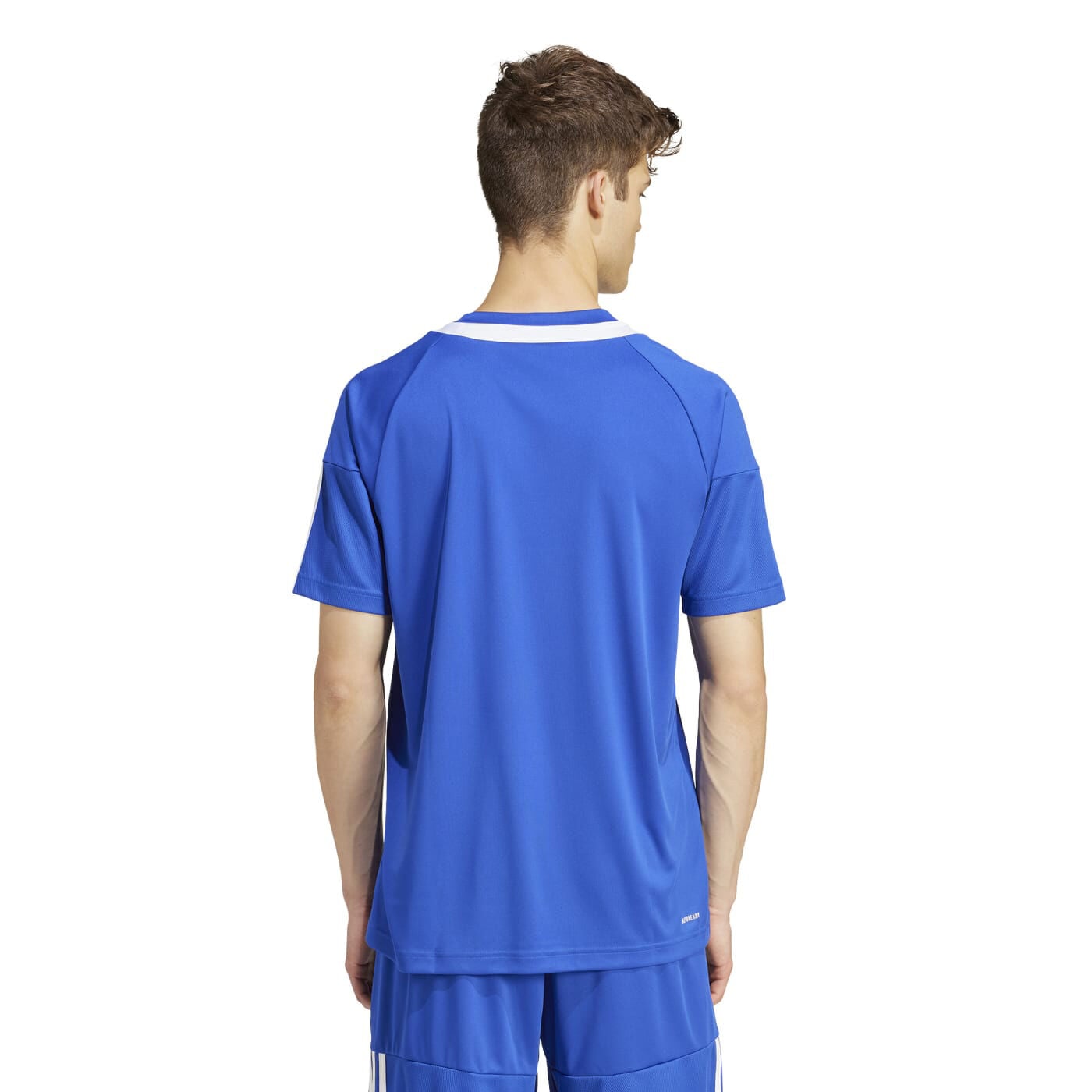 HERREN TRAININGSSHIRT M SERENO 3S T (IR7828) HERREN TRAININGSSHIRT M SERENO 3S T (IR7828)