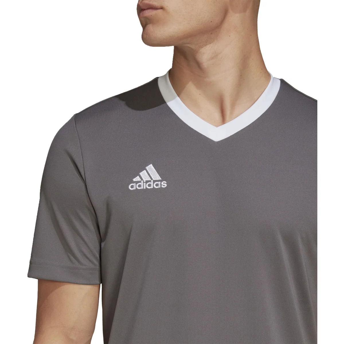 HERREN TRIKOT ENT22 JSY (HE1574) HERREN TRIKOT ENT22 JSY (HE1574)